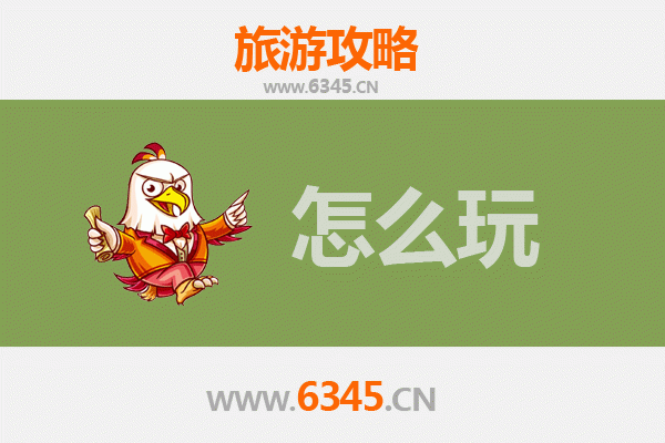 节假日畅游眉山东坡：深度体验文化之旅与美食攻略